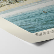 Los Angeles Beaches Print