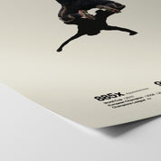 Andrés Iniesta Spain Euros Print
