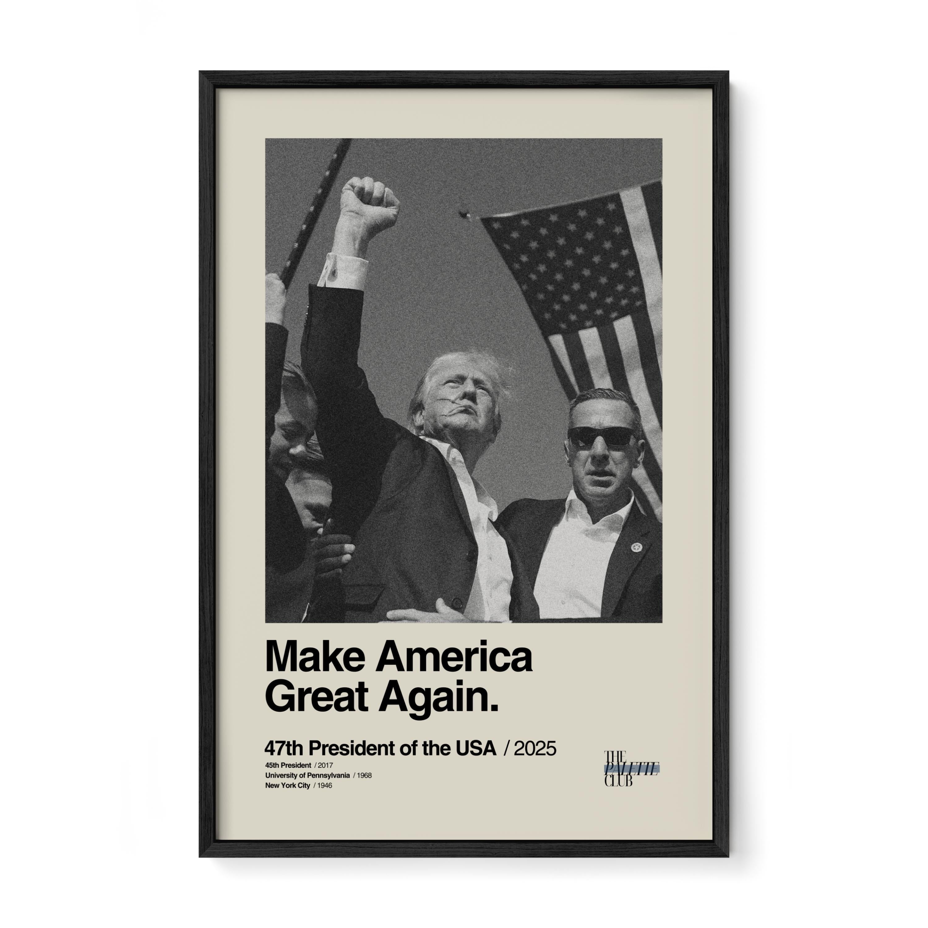 Donald Trump Make America Great Again Print v2