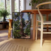 Tofino Giant Cedar - Oil Painting Print