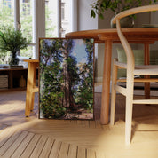 Tofino Giant Cedar - Oil Painting Print