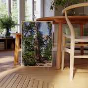 Tofino Giant Cedar - Oil Painting Print