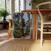 Tofino Giant Cedar - Oil Painting Print