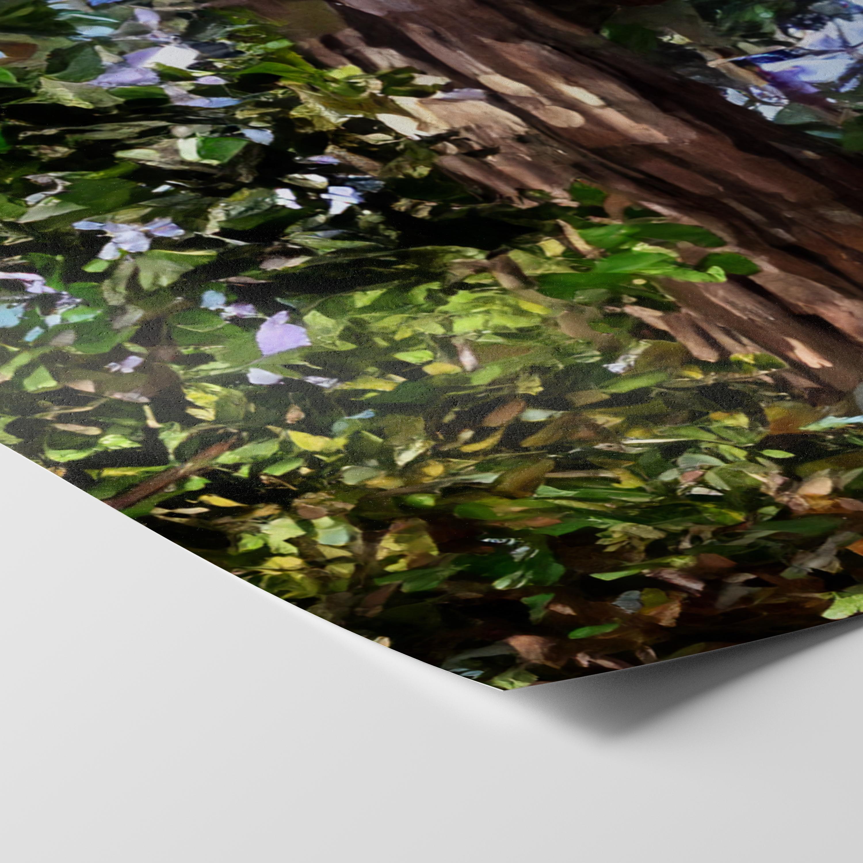 Tofino Giant Cedar - Oil Painting Print