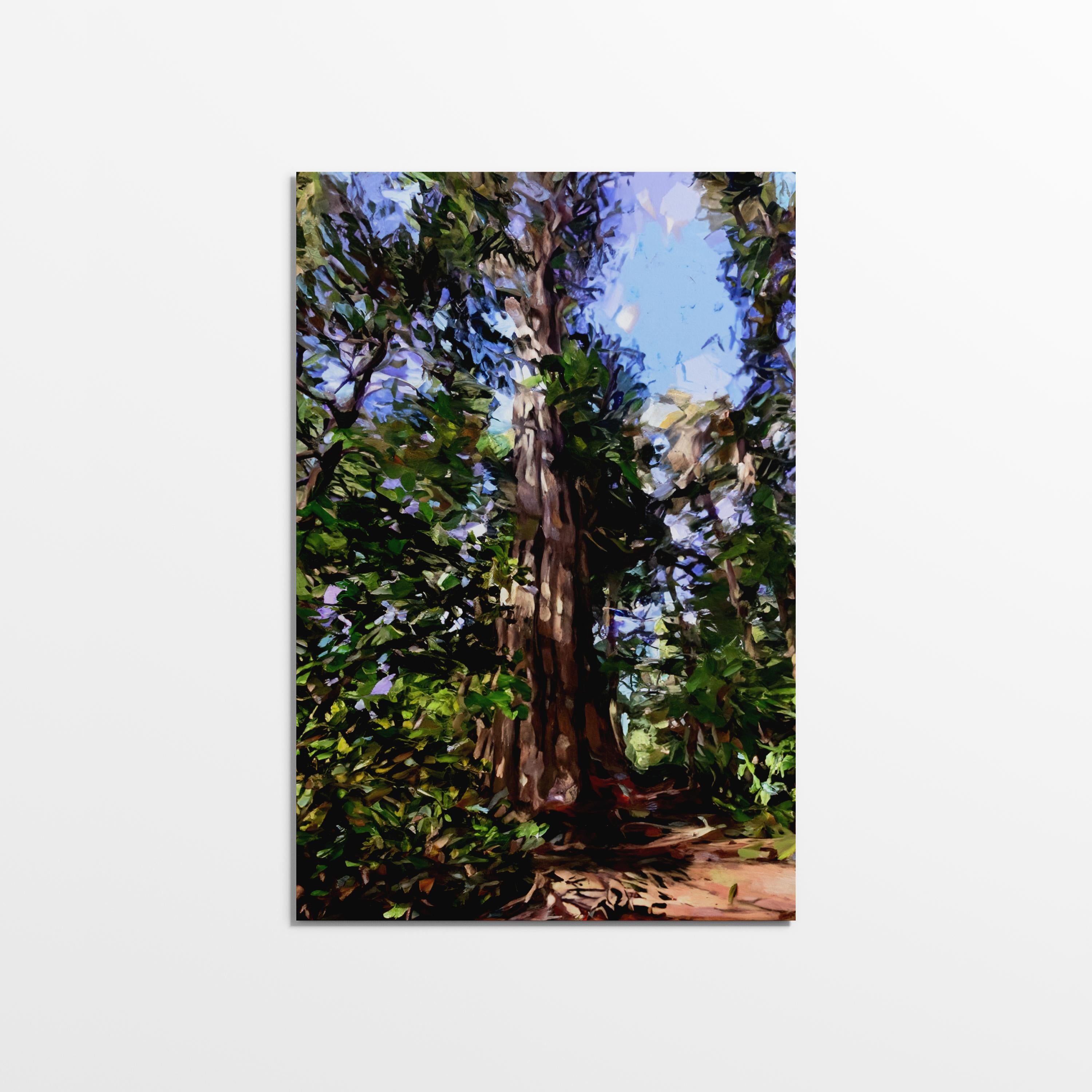 Tofino Giant Cedar - Oil Painting Print